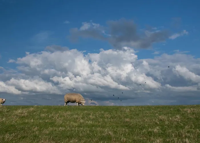 Schmidt * Krummhörn